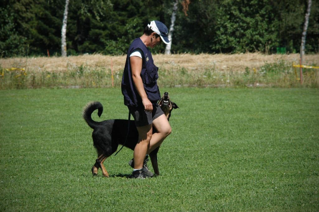 mario-hundetrainer-hundeschule-hundesport-unterordnung-05