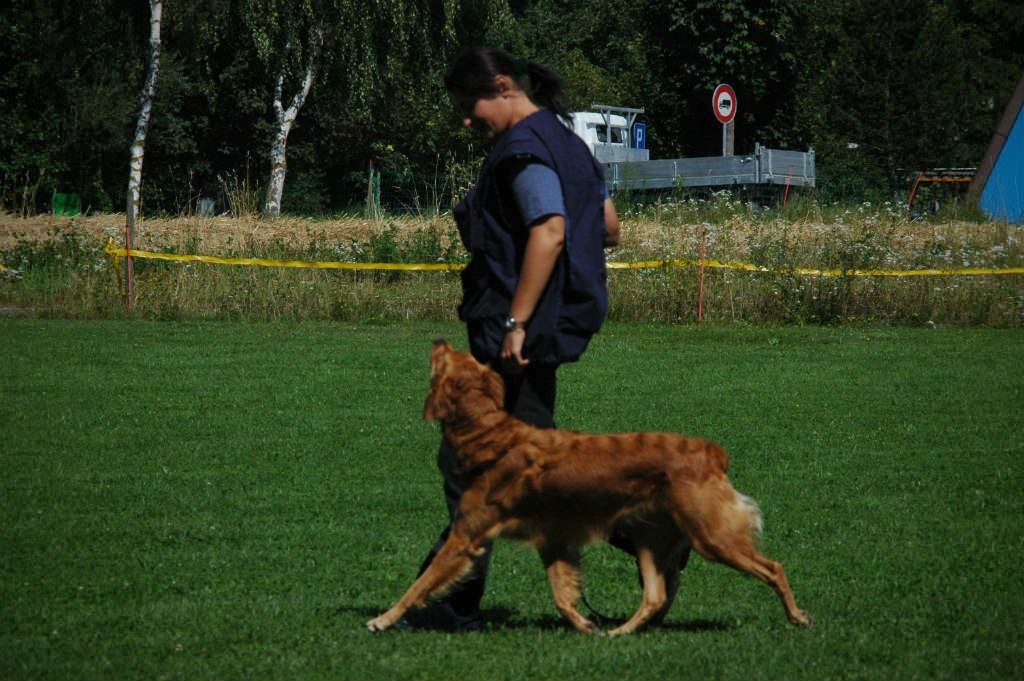 mario-hundetrainer-hundeschule-hundesport-unterordnung-06